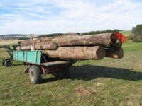 holz1.jpg