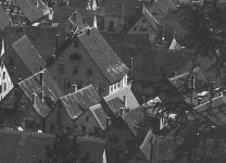 1910_ochsen.jpg