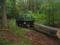 unimog holz1.jpg