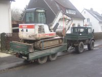 bobcat1.JPG