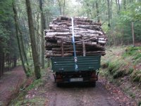 Forst1 + MÃ¼ller-Mitteltal mit Holz 0261.JPG