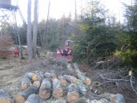 Bilder neu 02-2008 078.jpg