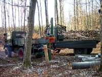 Wald_08c_460x345.jpg