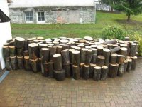 Holz-erledigt.jpg