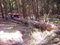 DSCN9540.jpg
