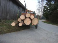 DSCN9548.jpg