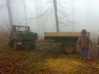 Unimog-Wald.jpg