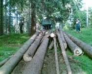 Burgberg1.jpg