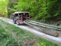 a_IMG_0096.jpg