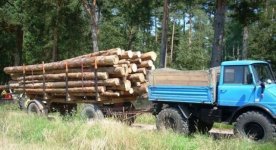 holz 007.jpg