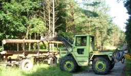holz 005.jpg