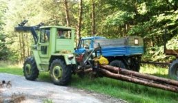 holz 004.jpg