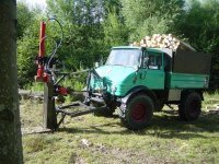 holz-08-2008.jpg