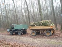 Holzsaison 08 09 120.jpg