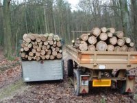 Holzsaison 08 09 026.jpg