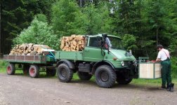 U421_Wald_k.jpg