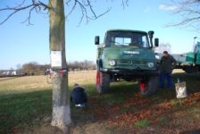 unimog24.jpg