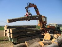 070220_Holz_Klaus_004-1.jpg