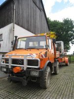 Mog 1.JPG