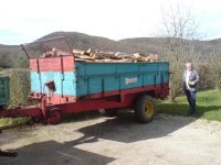 Holz geholt (5).JPG