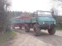 Holz geholt (15).JPG