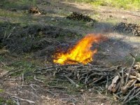 Feuer.JPG