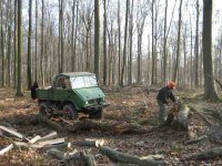 Holz mog 1.JPG