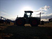 xerion2.jpg