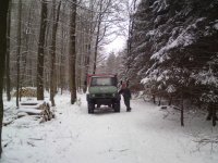 Wald-9_01_2010.jpg