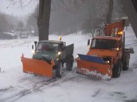 Bilder 2010 007.JPG