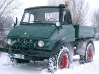 Mog im Schnee -1-.jpg