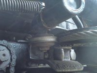 DSC00773.JPG
