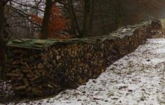 Holzvorrat_fuer_06-07.JPG