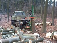 U 421 im Wald 22.JPG