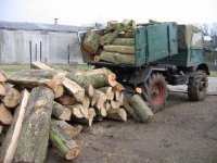 holz2.jpg