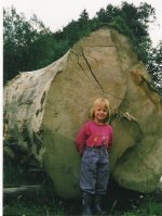 Dicke Dinger02.jpg