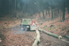 imm019_20.jpg