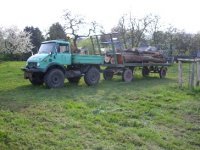 Holz 1.JPG