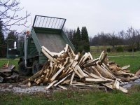 Brennholz2010.04.jpg