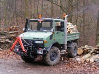 Brennholz2010.02.jpg