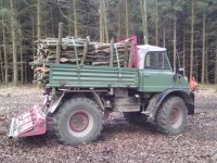 Mog_Wald-03_03_2011.jpg