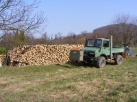 holzmachen01.jpg