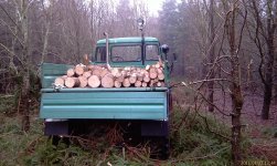 Unimog im Wald 2.JPG