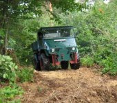 wald.jpg