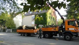 mein lkw 2.jpg