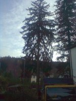 K640_Bild0086.JPG