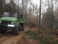 K640_wald 2011 003.JPG
