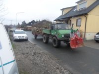 K640_wald 2011 005.JPG