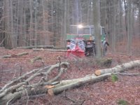 K640_wald 2011 008.JPG