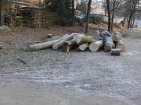 18.02.2012 003.JPG